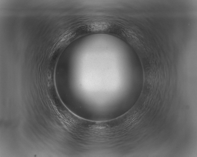 X0000052560743200507081635