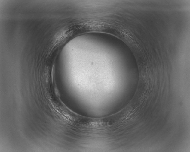 X0000052560744200507081635