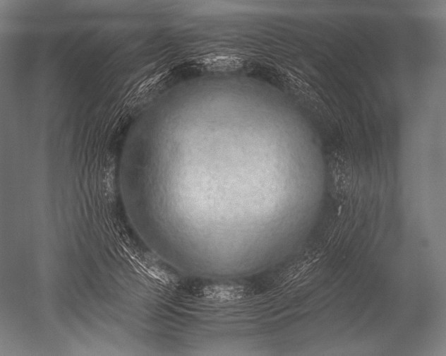 X0000052560745200507081635