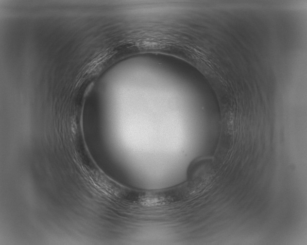 X0000052560746200507081635