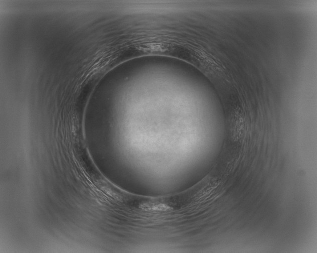 X0000052560747200507081635