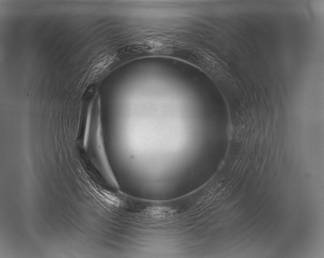 X0000052560748200507081635