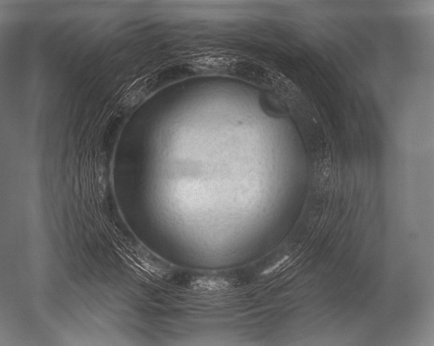 X0000052560749200507081635