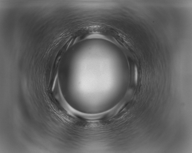 X0000052560750200507081635
