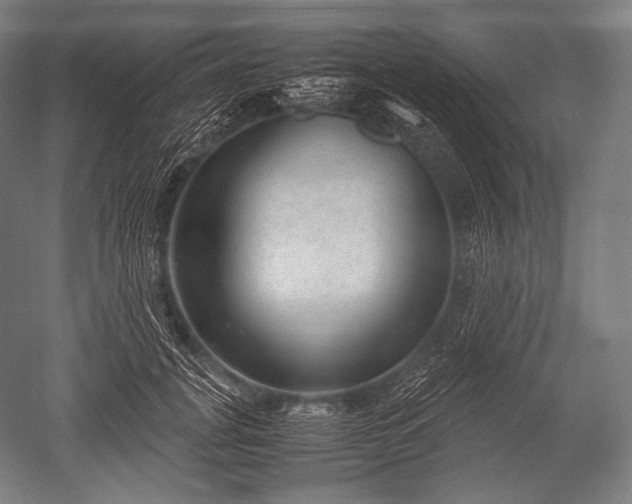 X0000052560751200507081635