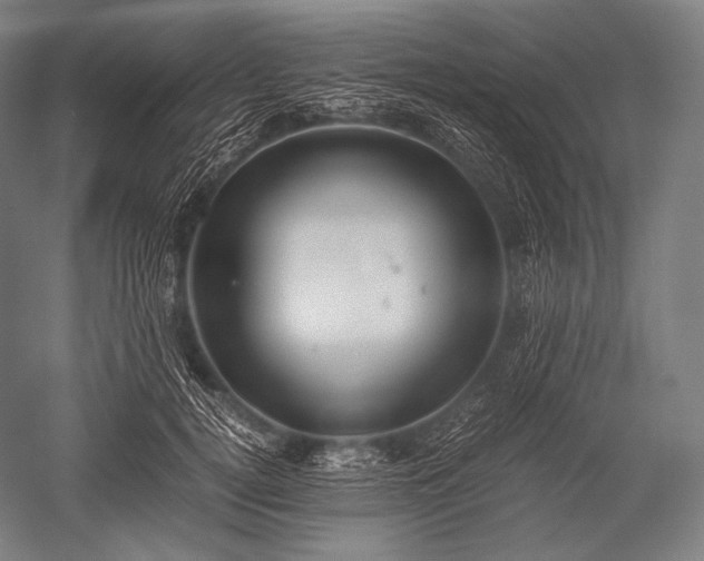 X0000052560752200507081635