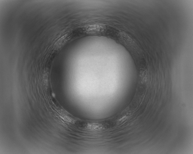 X0000052560753200507081635