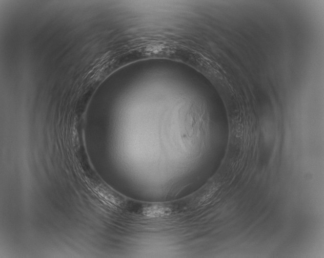 X0000052560754200507081635