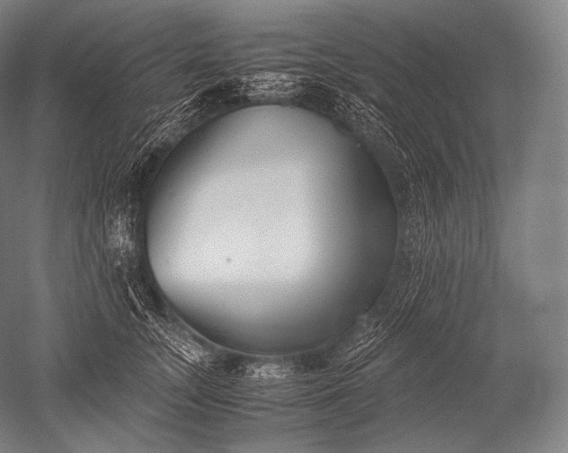 X0000052560755200507081635