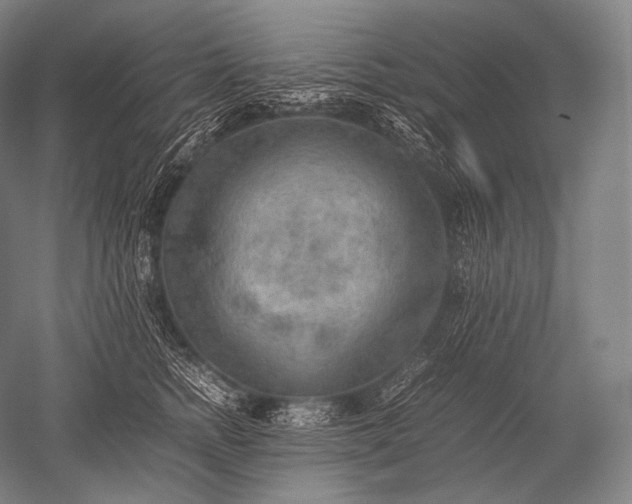 X0000052560758200507081635