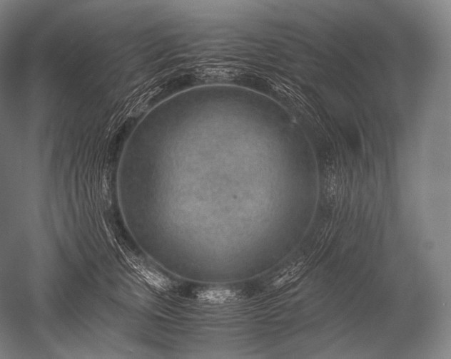 X0000052560759200507081635
