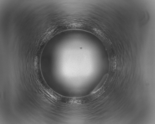 X0000052560760200507081635