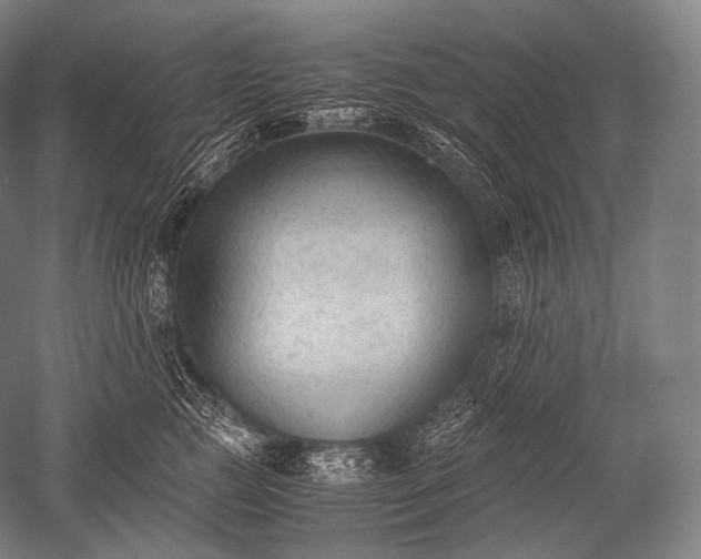 X0000052560761200507081635