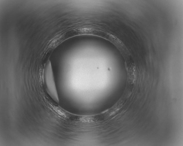 X0000052560762200507081635
