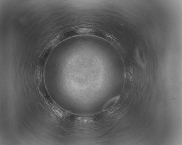 X0000052560763200507081635
