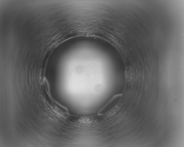 X0000052560764200507081635