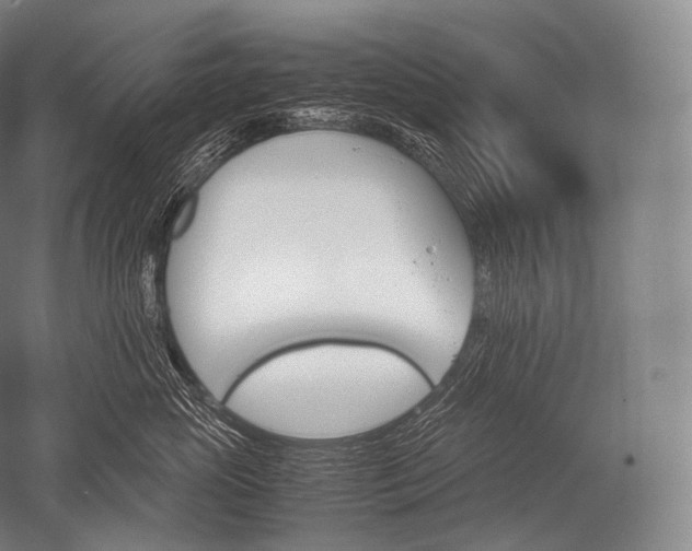 X0000052560765200507081635