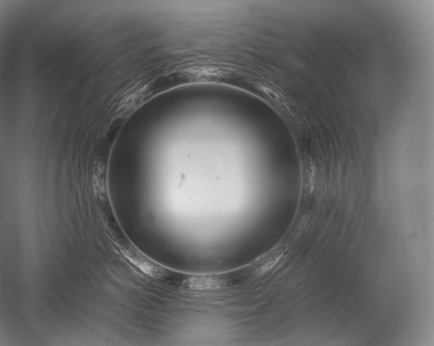 X0000052560766200507081635