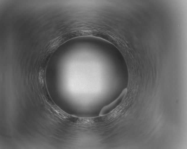 X0000052560768200507081635