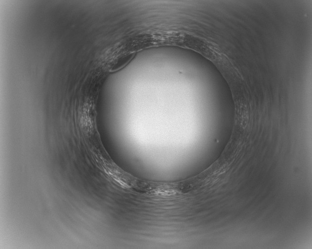 X0000052560770200507081635