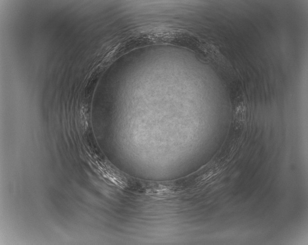 X0000052560772200507081635