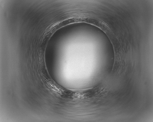 X0000052560773200507081635