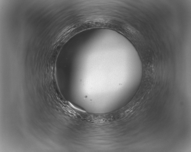 X0000052560774200507081634