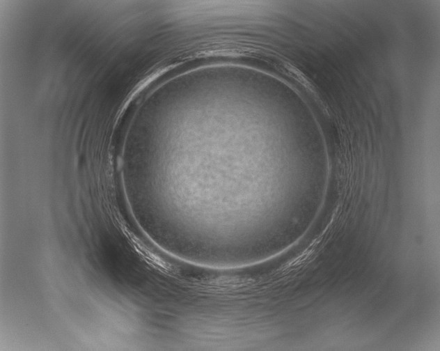 X0000052560779200507081634