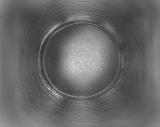 X0000052560780200507081634