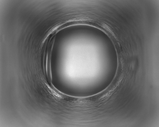 X0000052560781200507081634