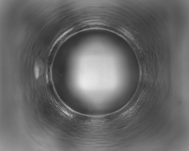 X0000052560782200507081634