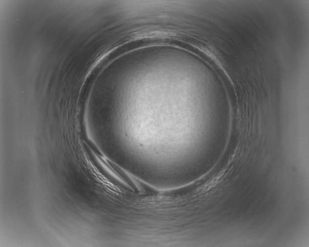 X0000052560783200507081634