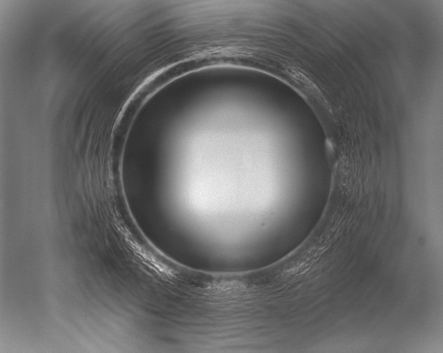 X0000052560784200507081634