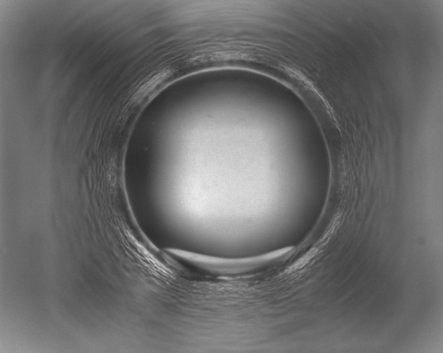 X0000052560785200507081634