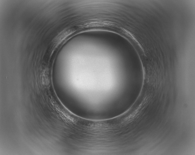 X0000052560786200507081634