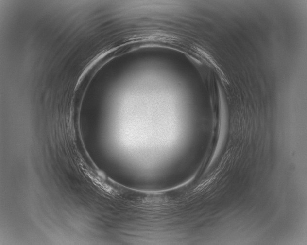 X0000052560788200507081634