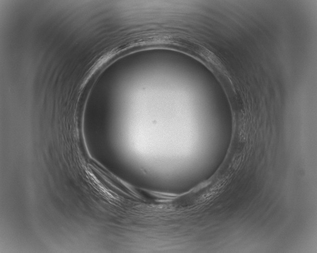 X0000052560789200507081634