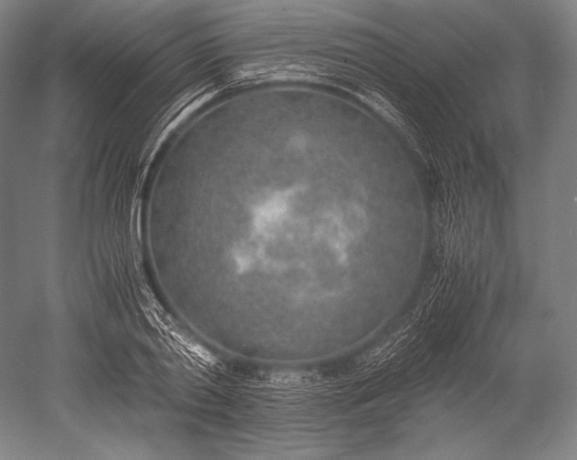X0000052560790200507081634