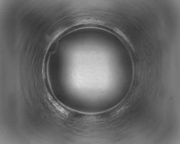 X0000052560791200507081634