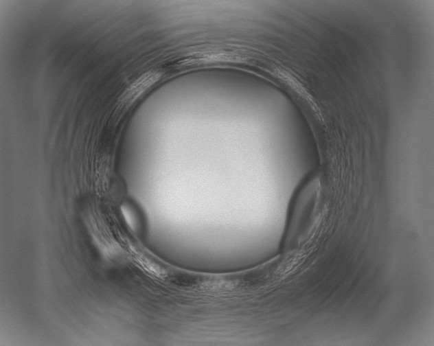 X0000052560793200507081634