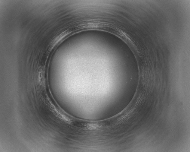X0000052560794200507081634