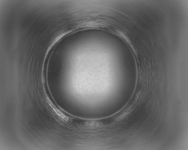 X0000052560795200507081634
