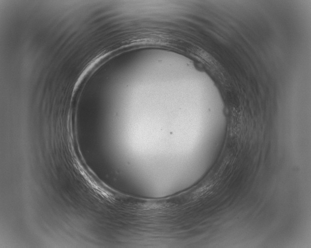 X0000052560796200507081634