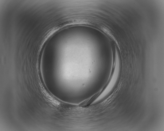 X0000052560797200507081634