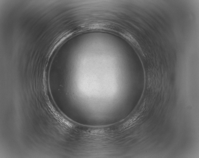 X0000052560798200507081634