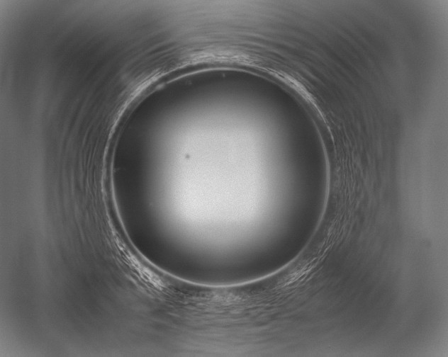 X0000052560799200507081634