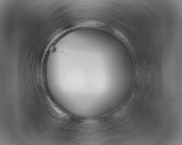 X0000052560800200507081634