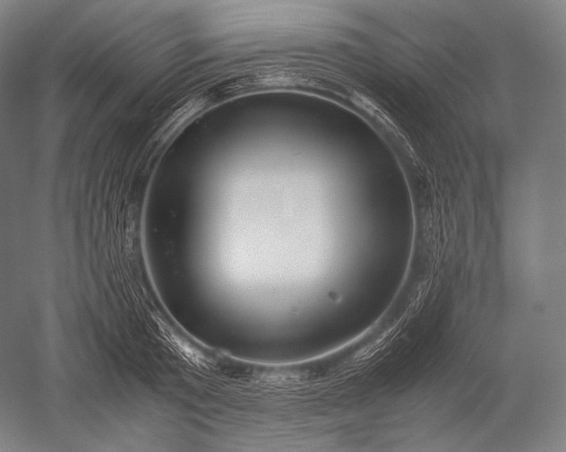 X0000052560801200507081634