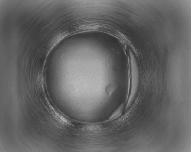X0000052560802200507081634