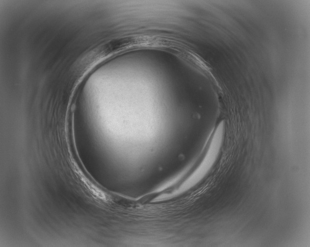 X0000052560803200507081634